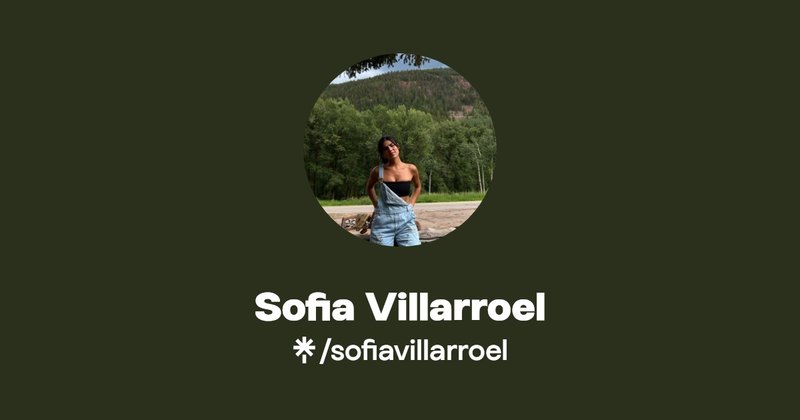 Sofia Villarroel — what she looks like